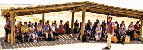 bedouin-1