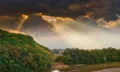 Early morning sunbeams through the clouds, Ariel Sharon Park