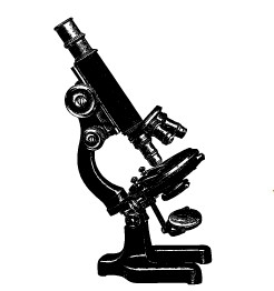 Microscope